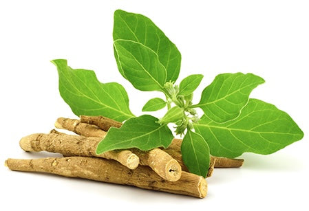 Know the Benefits of Ashwagandha