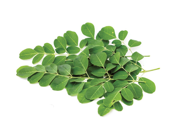 Know the Benefits of Moringa