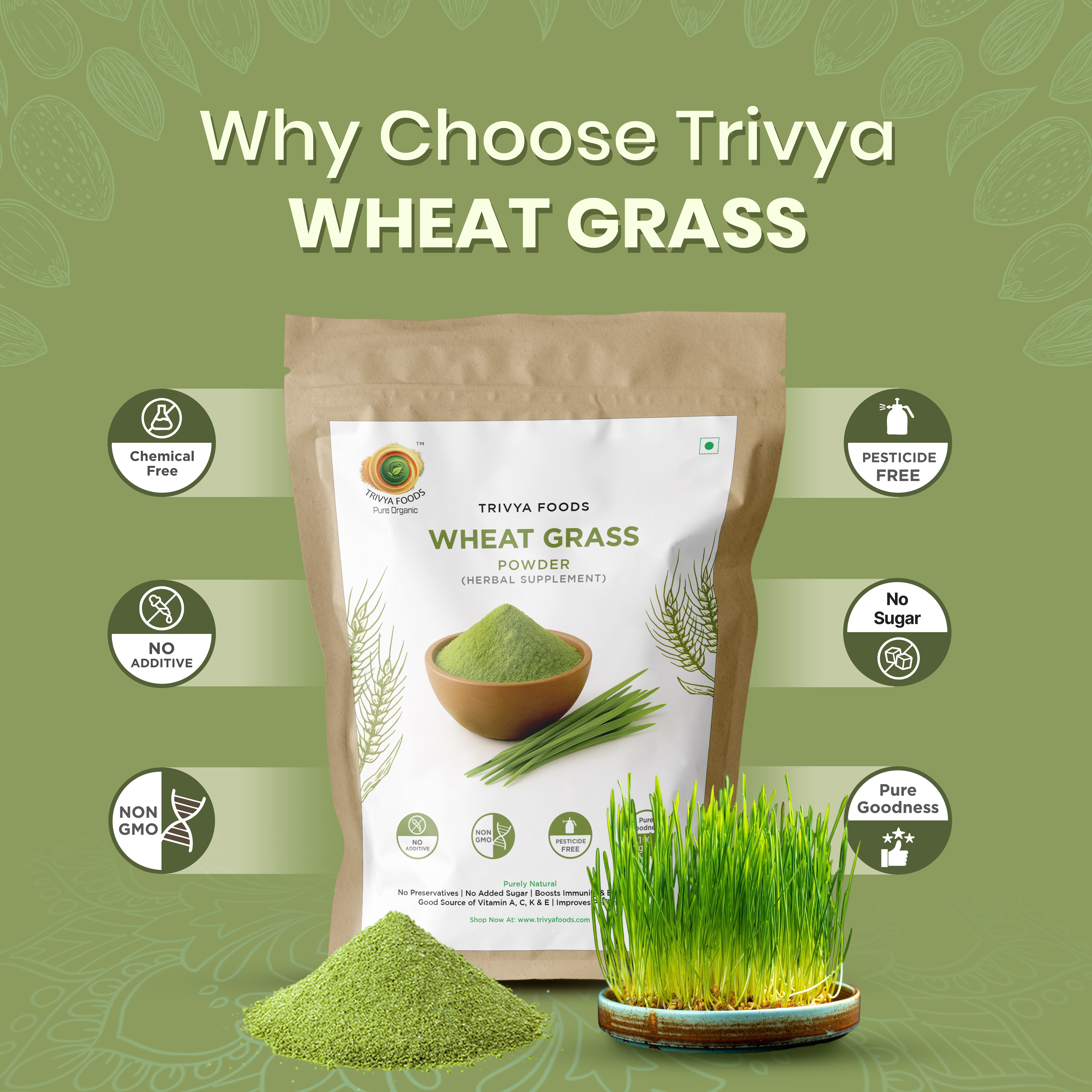 Wheat Grass Powder Pack of 3 | Natural Superfood for Detox & Energy Boost