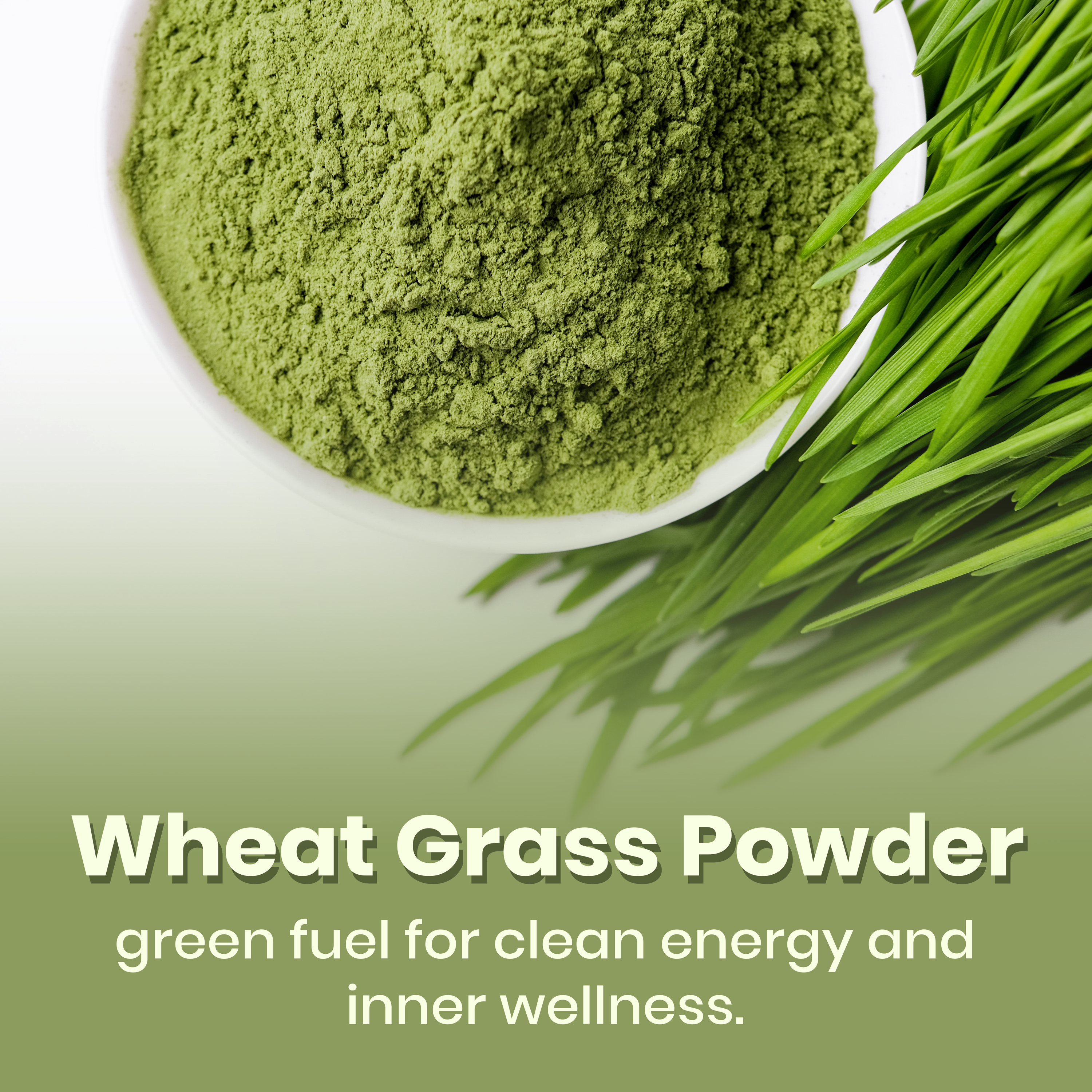 Wheat Grass Powder | Natural Detox, Energy & Immunity Booster