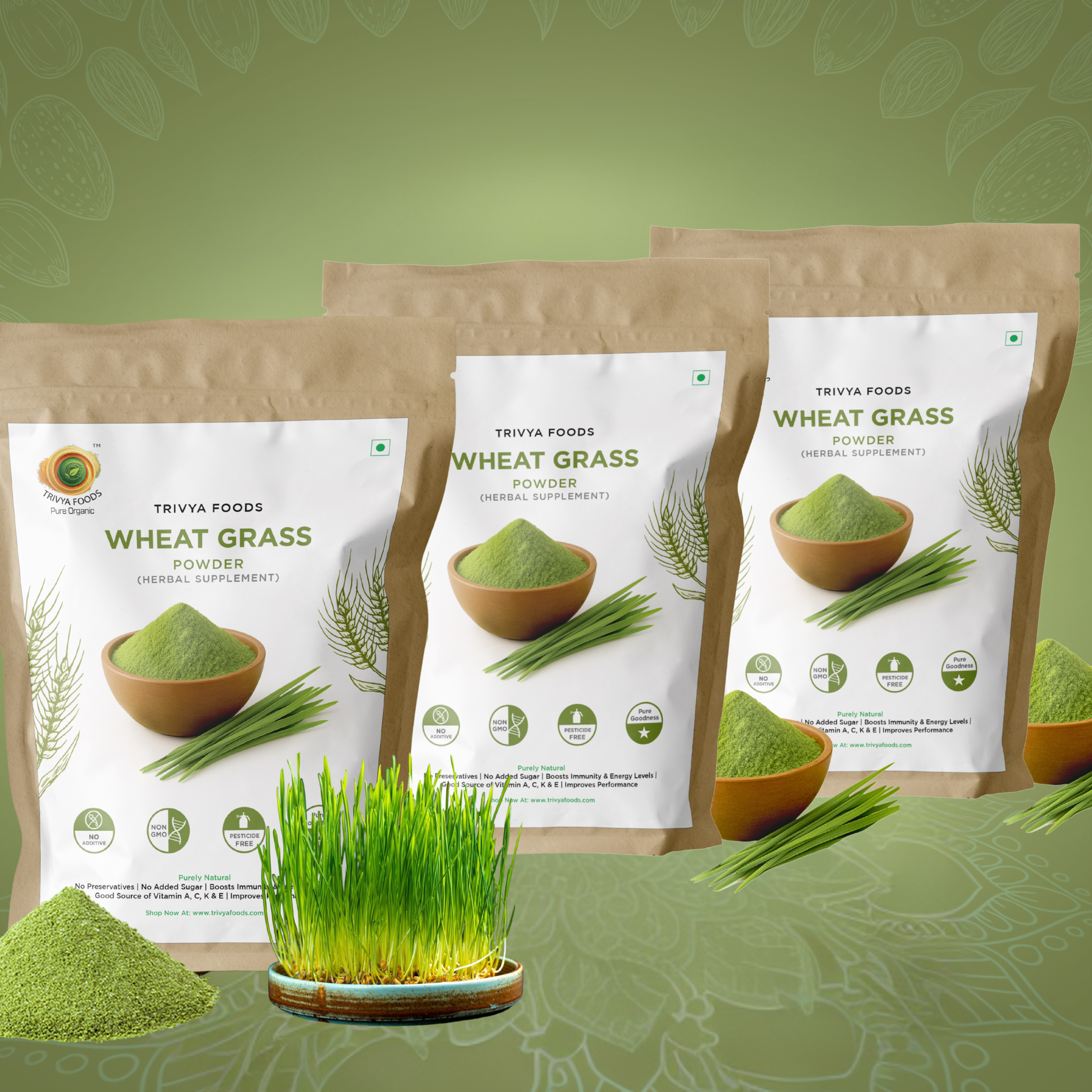 Wheat Grass Powder Pack of 3 | Natural Superfood for Detox & Energy Boost