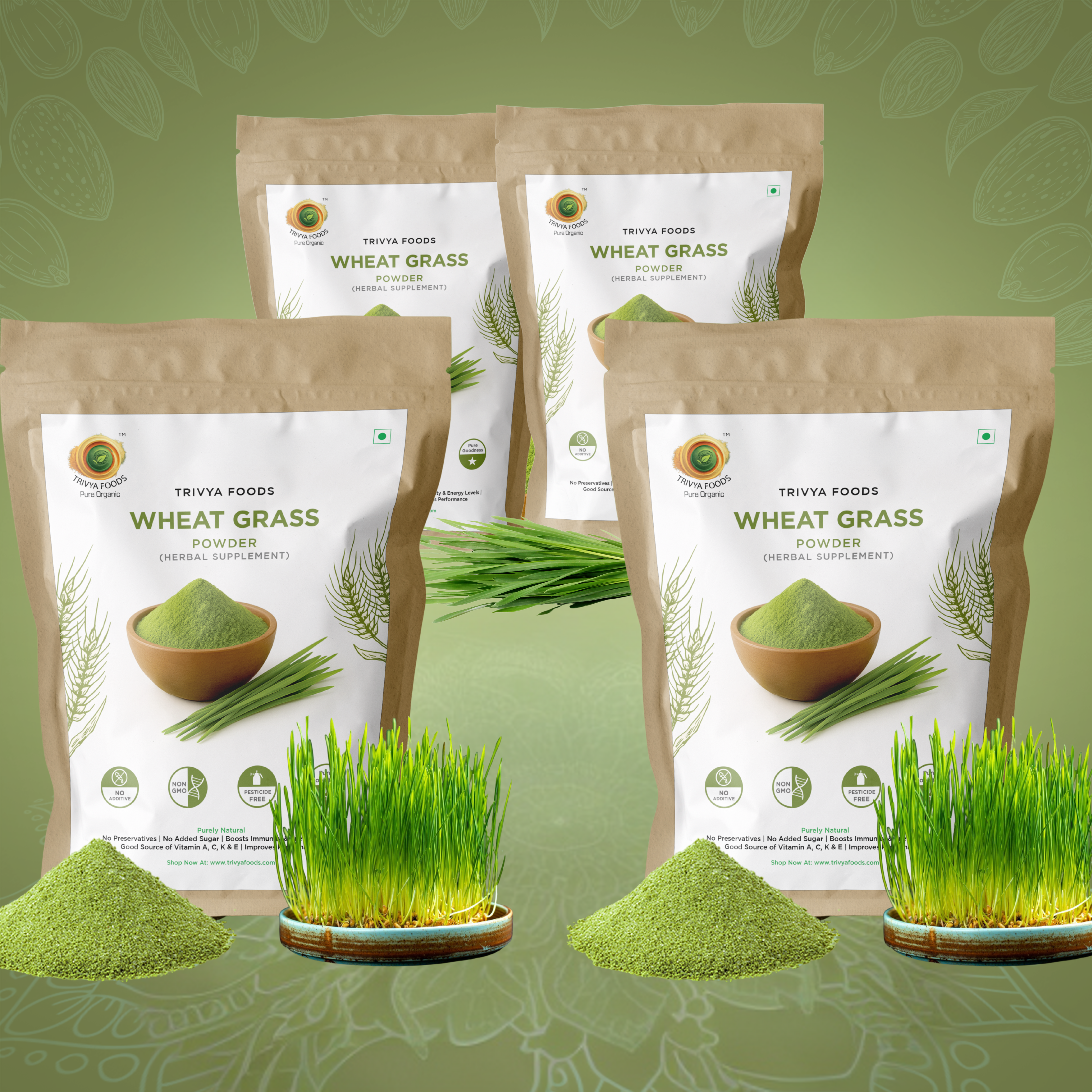 Wheat Grass Powder Pack of 4 – Natural Green Superfood | Detox, Energy & Immunity Support